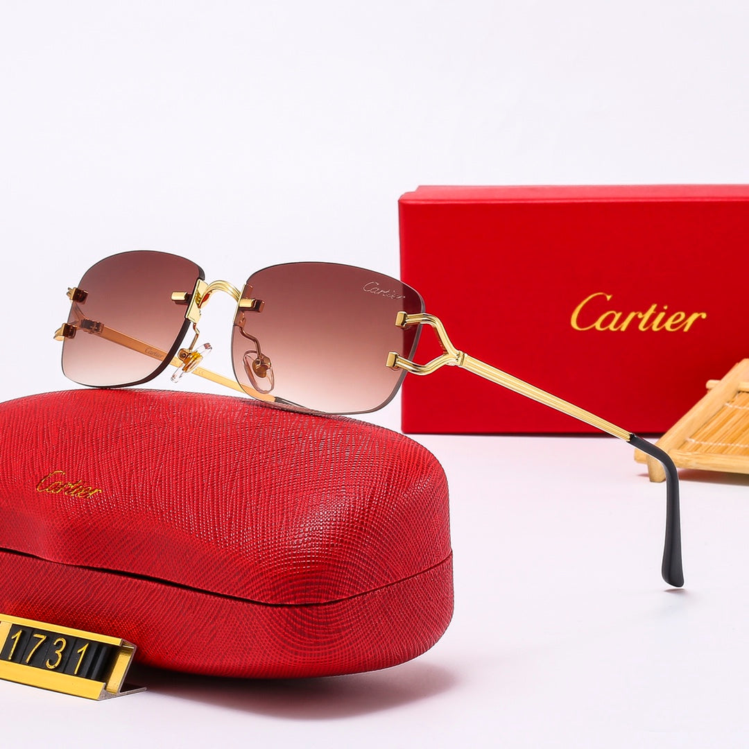 The new hottest trendy sunglasses! 1731
