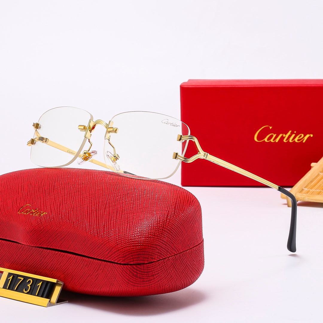 The new hottest trendy sunglasses! 1731