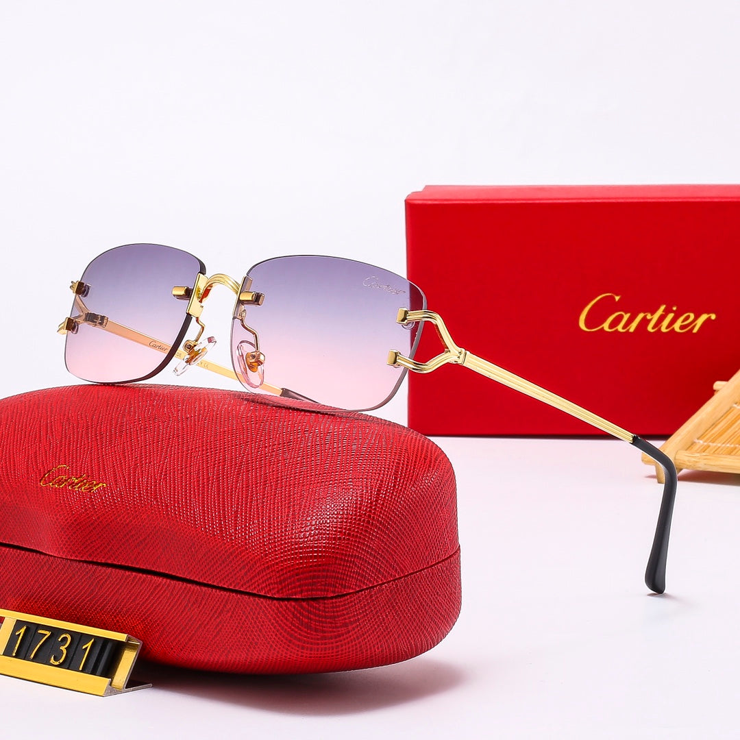 The new hottest trendy sunglasses! 1731