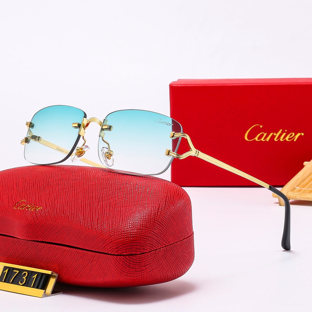 The new hottest trendy sunglasses! 1731