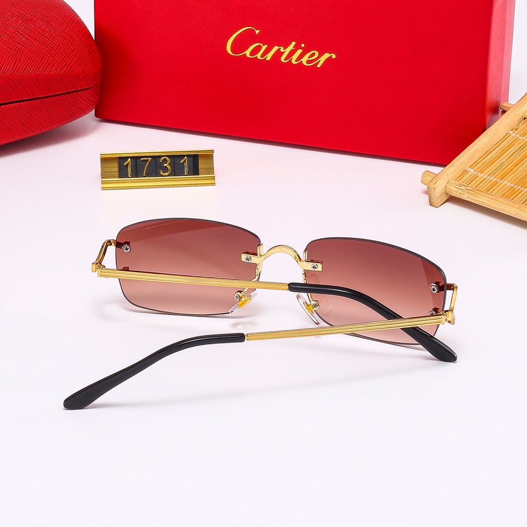 The new hottest trendy sunglasses! 1731
